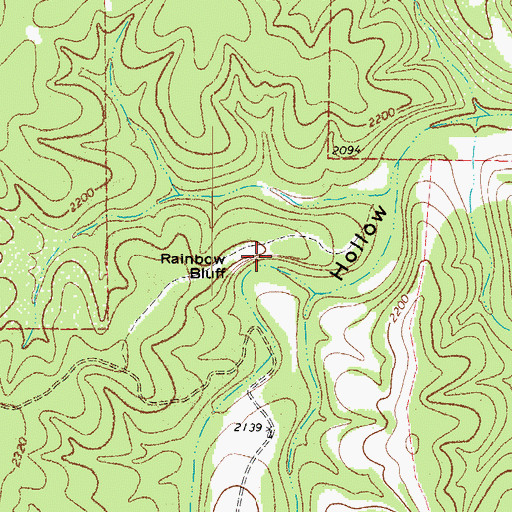 Topographic Map of Rainbow Bluff, TX