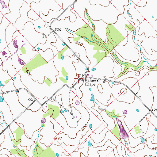 Topographic Map of Raineys Chapel, TX