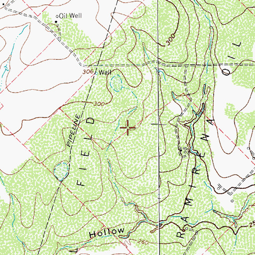 Topographic Map of Ramirena Oil Field, TX