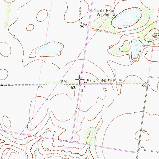 Topographic Map of Rancho del Carmine, TX