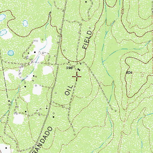 Topographic Map of Randado Oil Field, TX