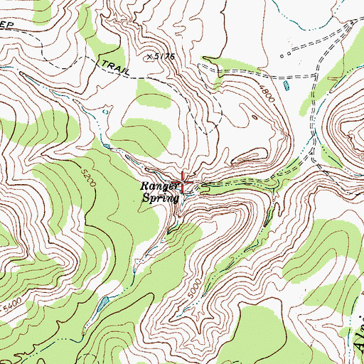 Topographic Map of Ranger Spring, TX