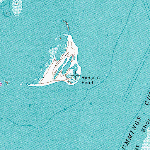 Topographic Map of Ransom Point, TX