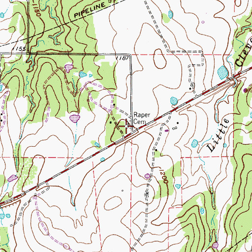 Topographic Map of Raper Cemetery, TX