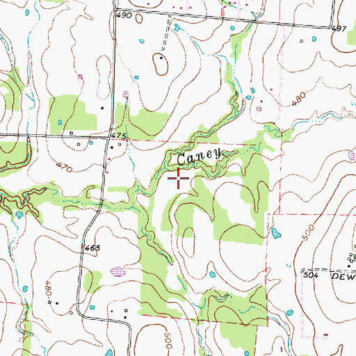 Topographic Map of Rats Branch, TX