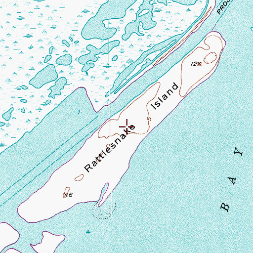 Topographic Map of Rattlesnake Island, TX