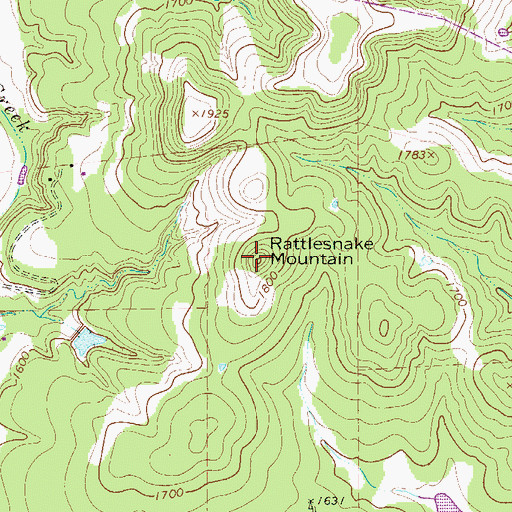 Topographic Map of Rattlesnake Mountain, TX