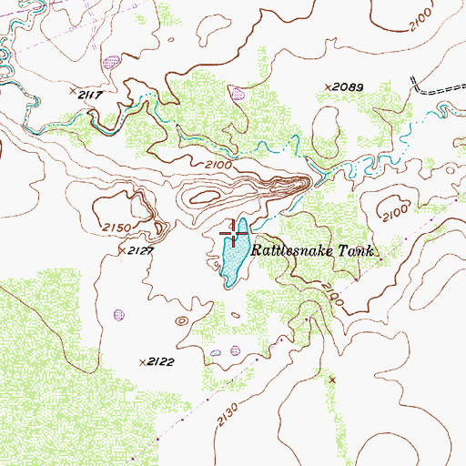 Topographic Map of Rattlesnake Tank, TX
