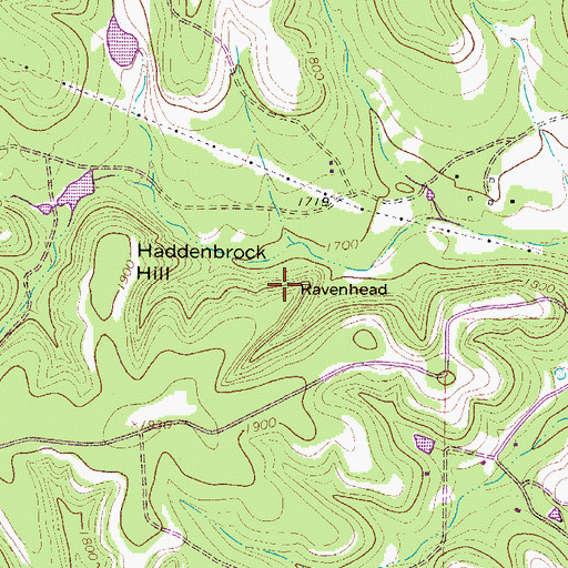 Topographic Map of Ravenhead, TX