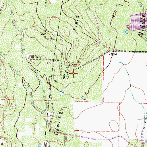 Topographic Map of Rawlings Oil Field, TX