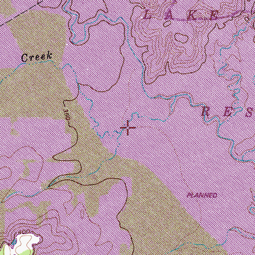 Topographic Map of Ray Branch, TX