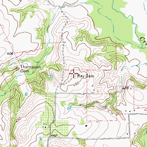 Topographic Map of Ray Cemetery, TX