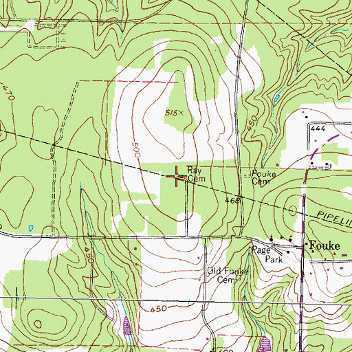 Topographic Map of Ray Cemetery, TX