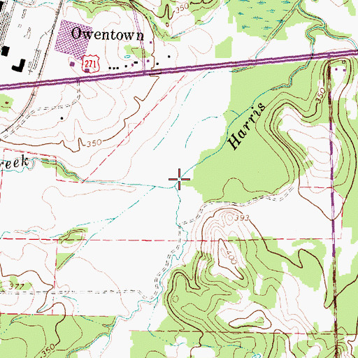 Topographic Map of Ray Creek, TX