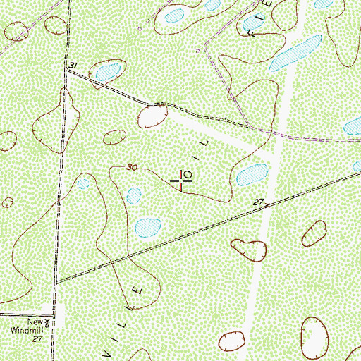 Topographic Map of Raymondville Oil Field, TX