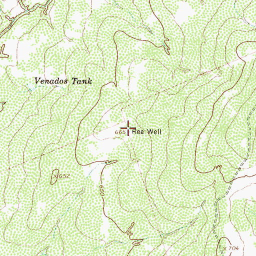 Topographic Map of Rea Well, TX