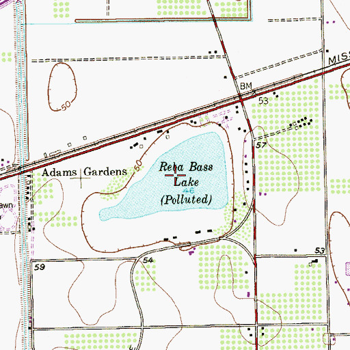 Topographic Map of Reba Bass Lake, TX
