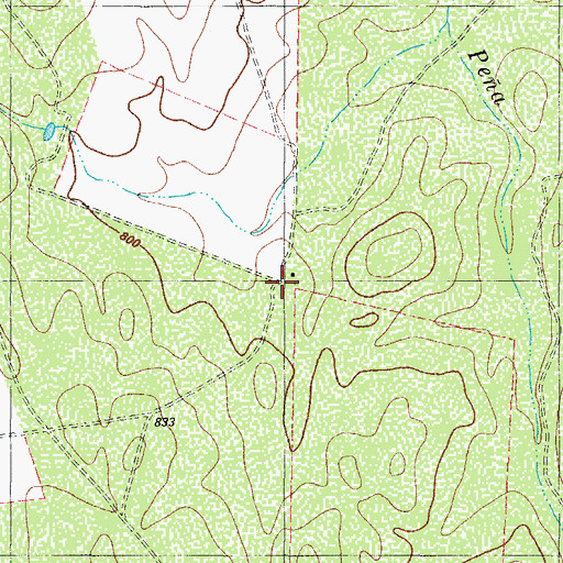 Topographic Map of Red Ranch, TX
