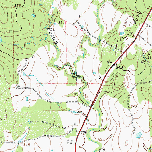 Topographic Map of Reed Branch, TX