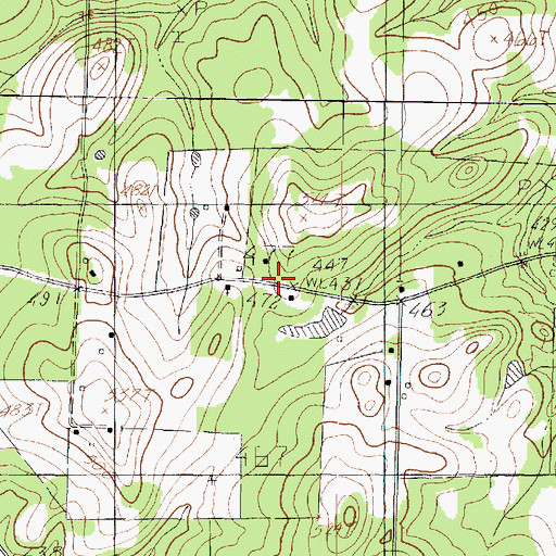 Topographic Map of Reese Shiloh Church, TX