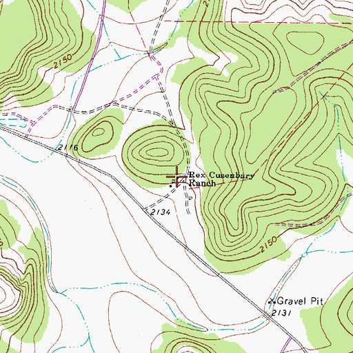 Topographic Map of Rex Cusenbary Ranch, TX