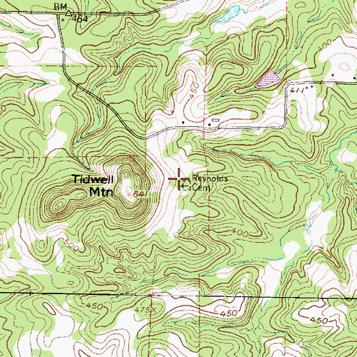 Topographic Map of Reynolds Cemetery, TX