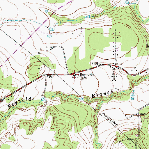 Topographic Map of Reynolds Cemetery, TX