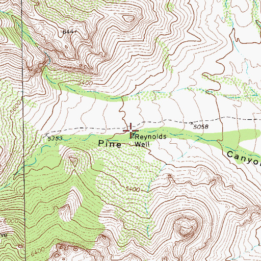Topographic Map of Reynolds Well, TX