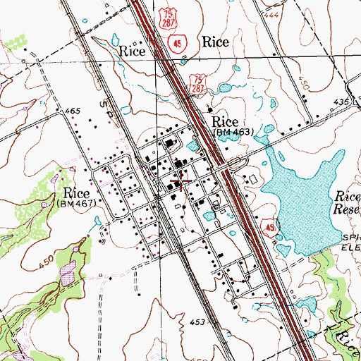 Topographic Map of Rice, TX