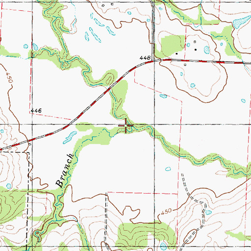 Topographic Map of Rice Branch, TX