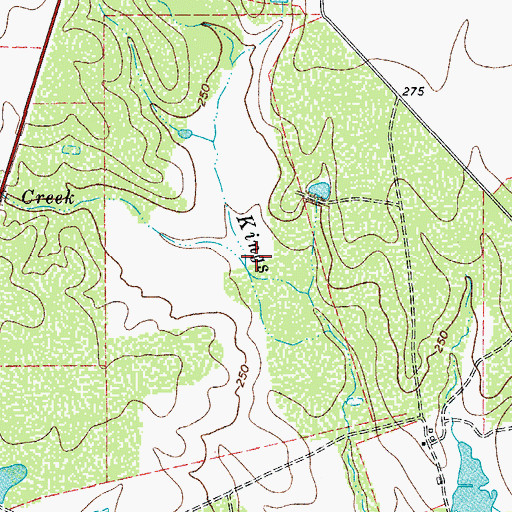 Topographic Map of Richardson Creek, TX