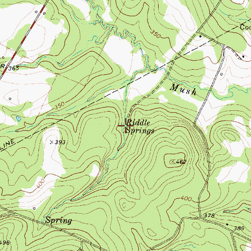 Topographic Map of Riddle Springs, TX