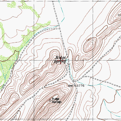 Topographic Map of Ridge Spring, TX