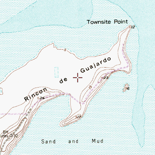Topographic Map of Rincon de Guajardo, TX