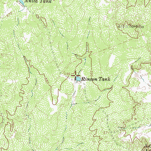 Topographic Map of Rincon Tank, TX