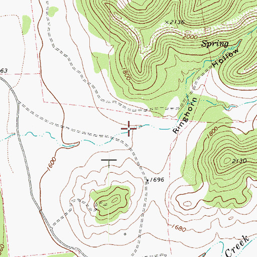 Topographic Map of Ringhorn Hollow, TX