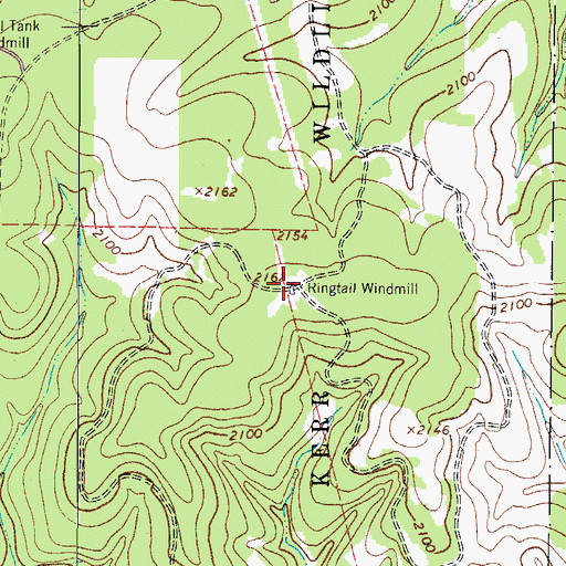 Topographic Map of Ringtail Windmill, TX