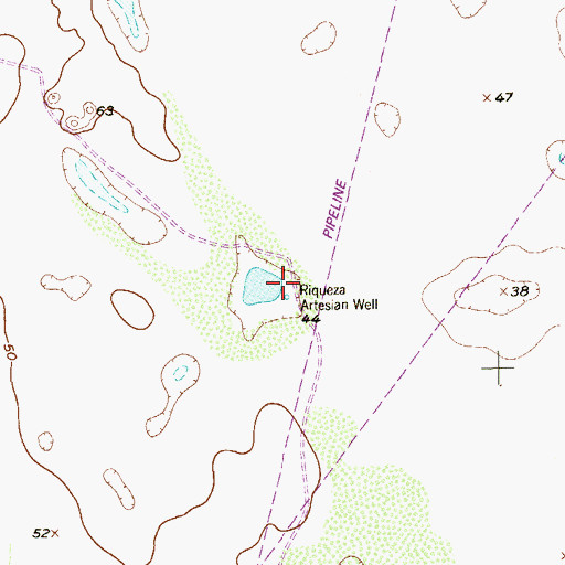 Topographic Map of Riqueza Artesian Well, TX