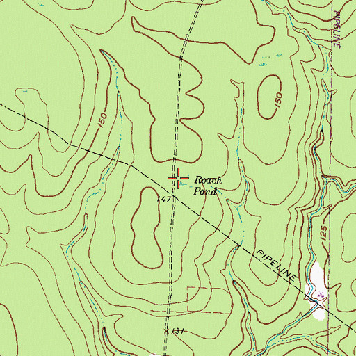 Topographic Map of Roach Pond, TX