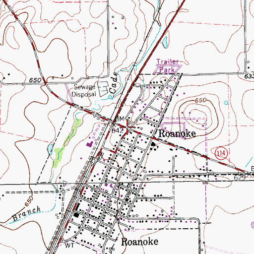 Topographic Map of Roanoke, TX