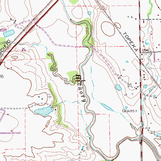 Topographic Map of Roark Branch, TX