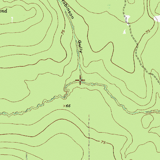 Topographic Map of Robinson Gully, TX