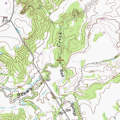 Topographic Map of Rock Springs Branch, TX