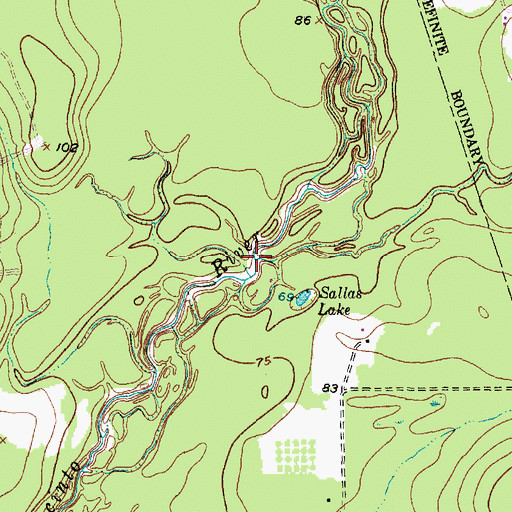 Topographic Map of Rocky Branch, TX