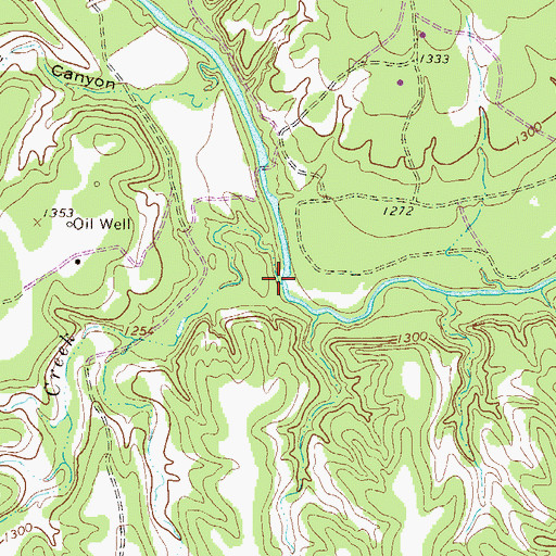 Topographic Map of Rocky Creek, TX
