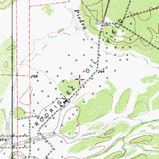 Topographic Map of Rodriguez Oil Field, TX