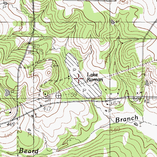 Topographic Map of Lake Roman, TX