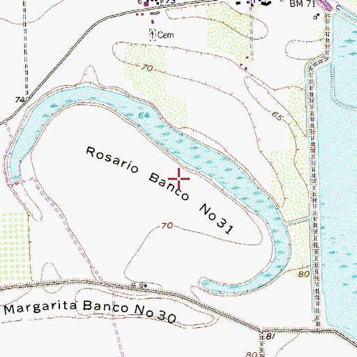 Topographic Map of Rosario Banco Number 31, TX
