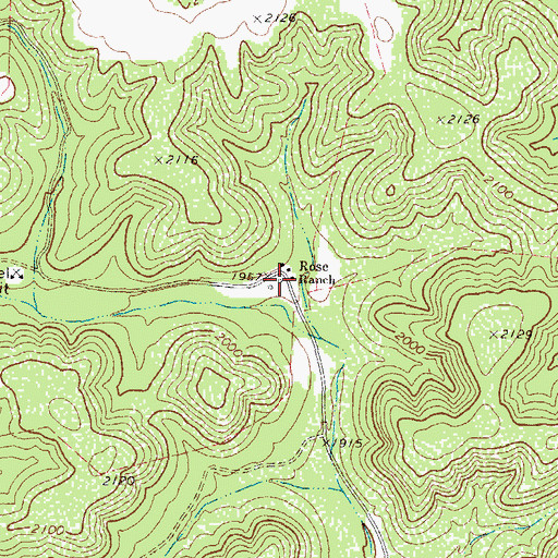 Topographic Map of Rose Ranch, TX