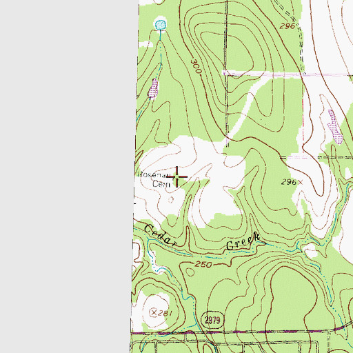 Topographic Map of Rosenau Cemetery, TX